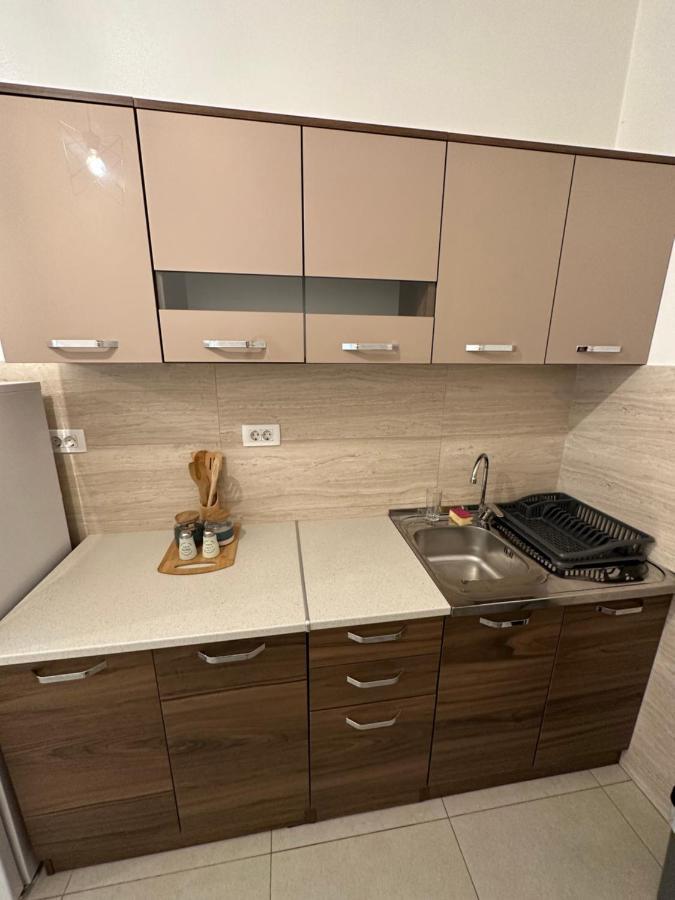 Irina Centre Apartment Podgorica Kültér fotó